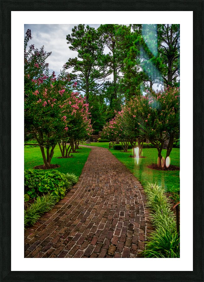 Crepe Myrtles Pathway Picture Frame print