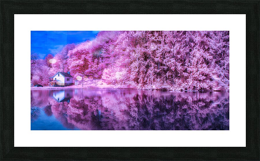 Pink Pond Picture Frame print