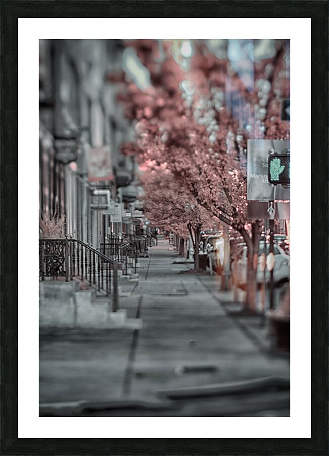 Deserted Charm: Exploring Yorks Empty Sidewalks Picture Frame print