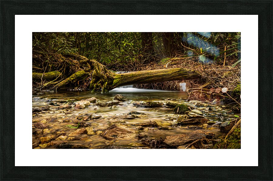 Hidden falls Picture Frame print