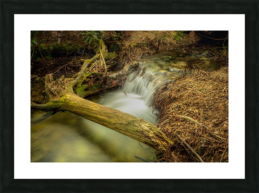 Birch Run Waterfall Picture Frame print