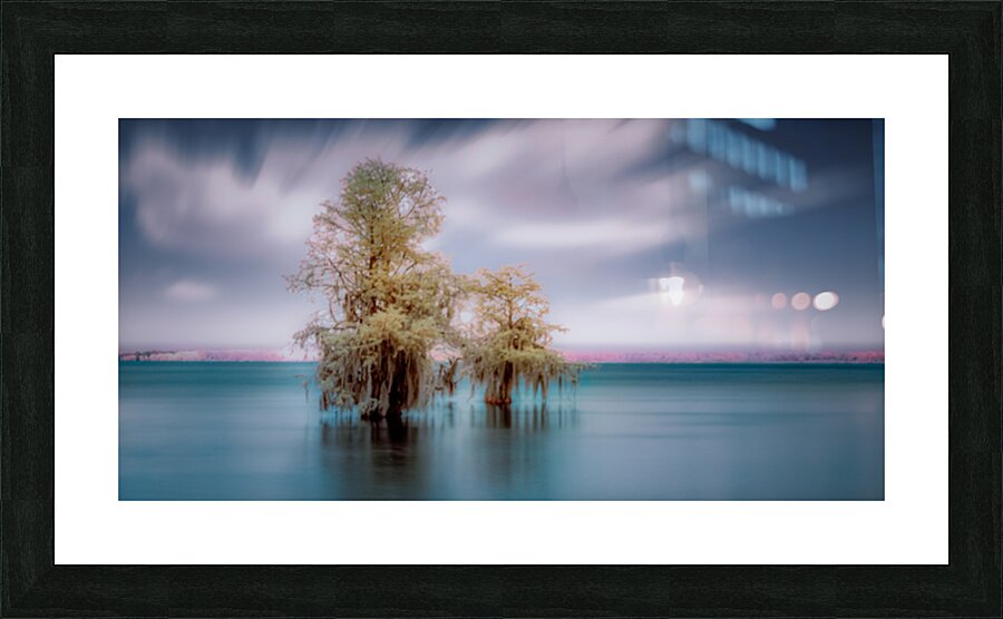 Big Brother Picture Frame print