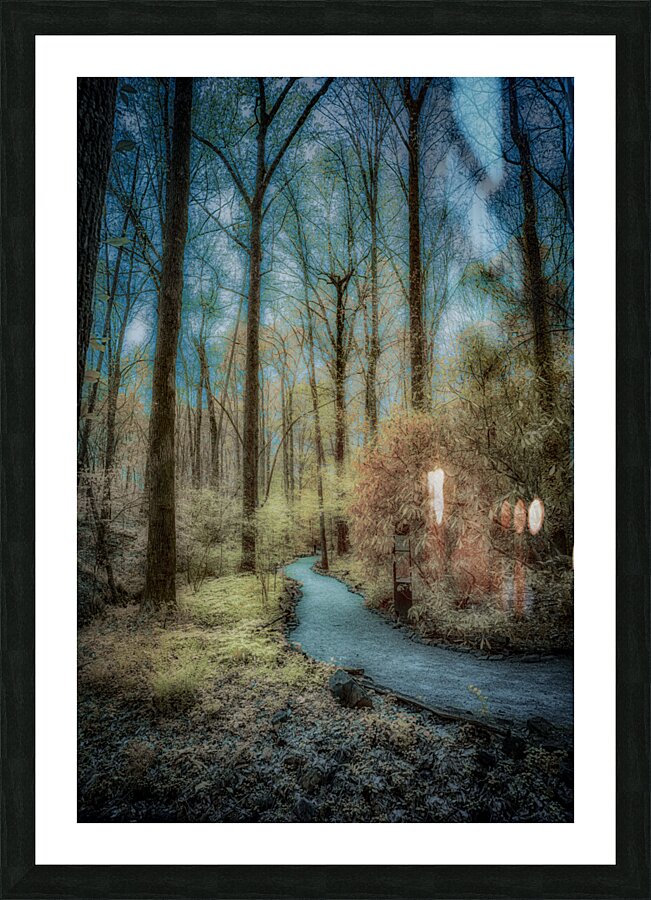 Botanical Bliss: Exploring Colorful Trails in South Carolina Picture Frame print