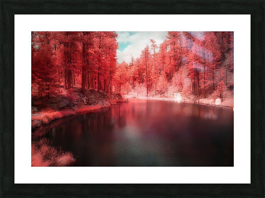 Radiant Tranquility: A Stroll Along Grace Coolidge Lakes Infrared Wonderland in South Dakota Picture Frame print