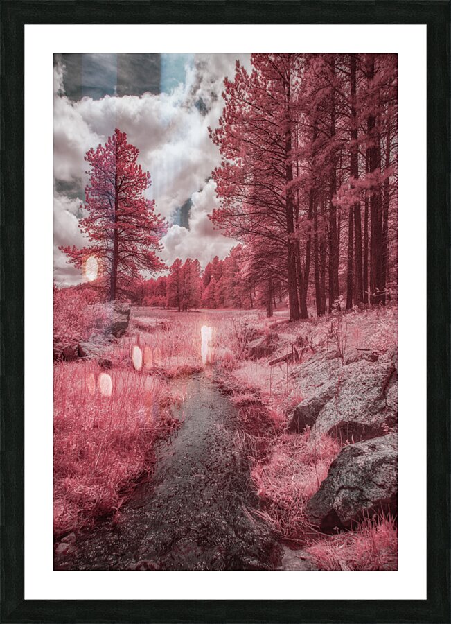 Red Meadow  Picture Frame print