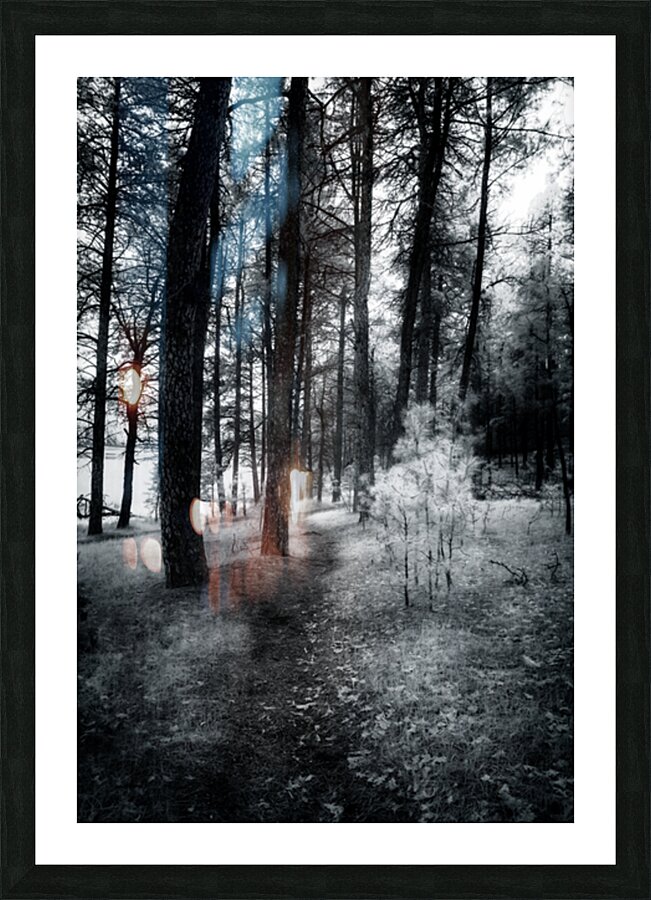 Wandering Through Wonderland: A Mystical Path Along Center Lakes Shores Picture Frame print