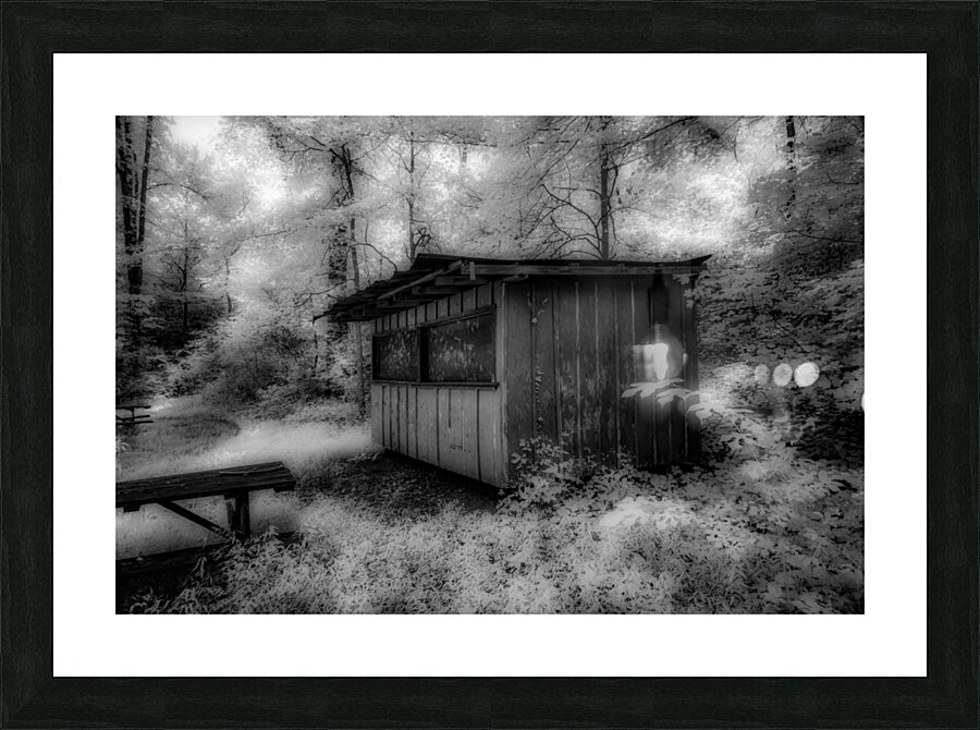 Tennessee Shed Picture Frame print