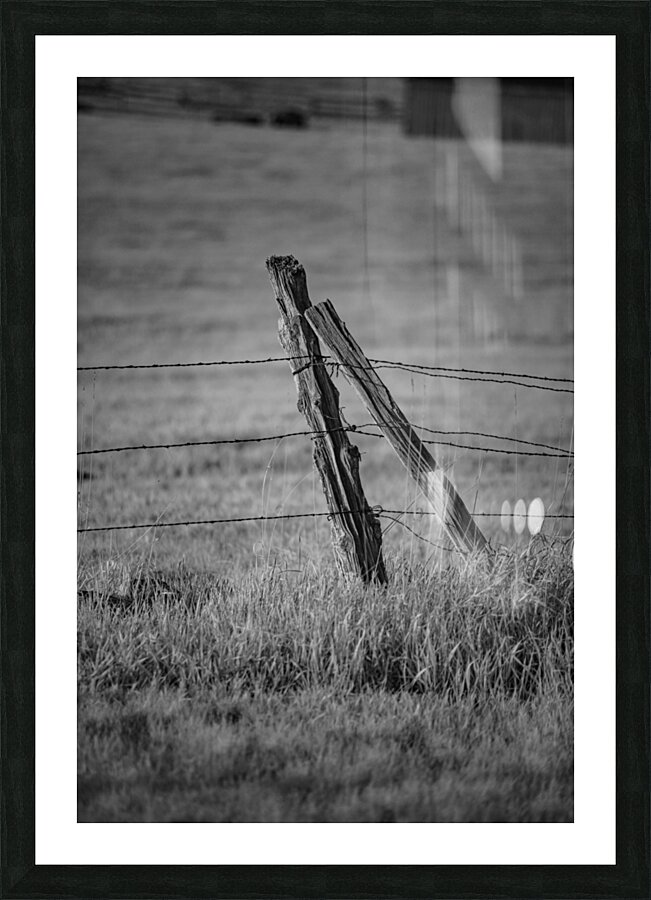 Fenceline Support Picture Frame print