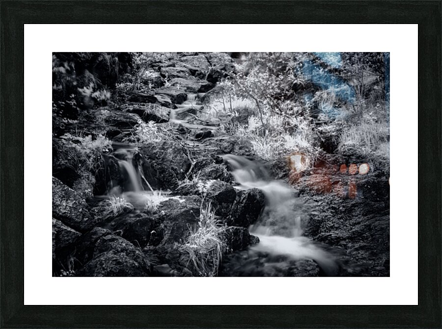 Bismarcks Silver Dance Picture Frame print