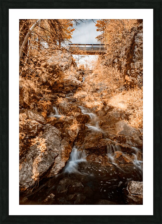 Autumns Liquid Gold Picture Frame print