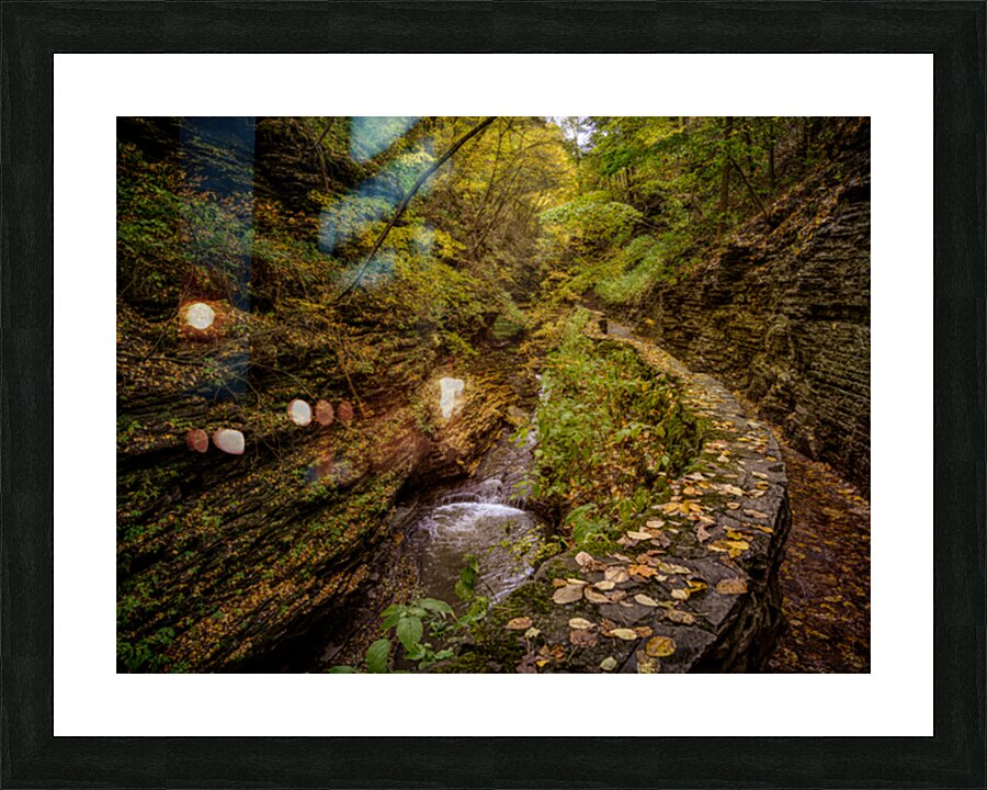 Autumn In the Gorge Picture Frame print