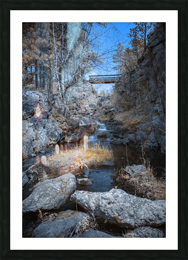 Bismarcks Dream Picture Frame print