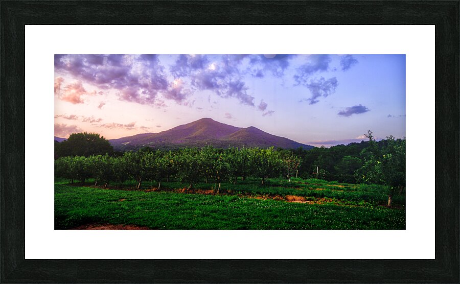 Light Peaks of Otter Picture Frame print