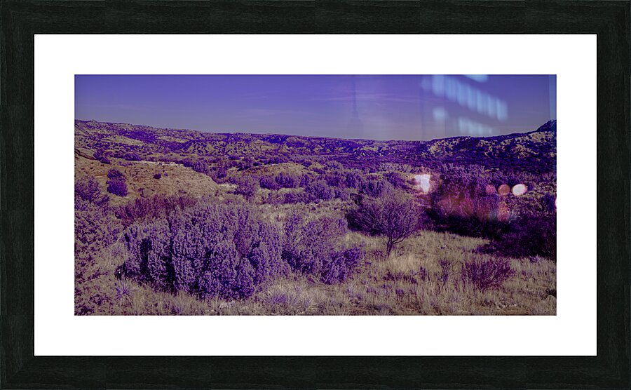 Purple Majesty Picture Frame print