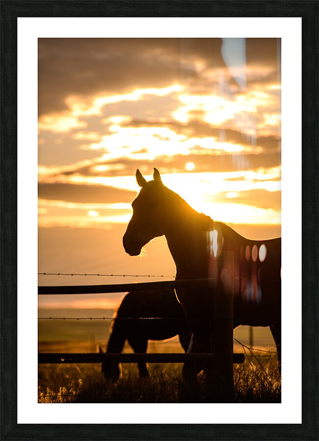Sillouhette of Ernie Picture Frame print