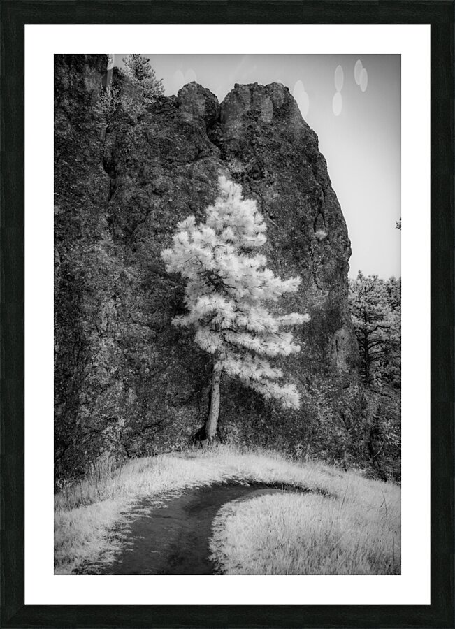 Holding Back Time Picture Frame print