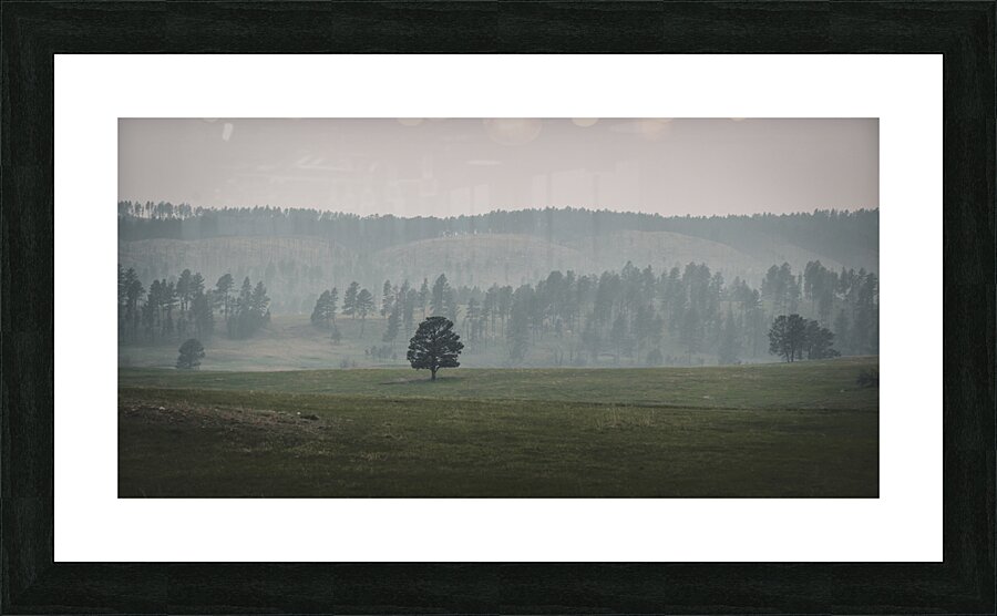 Solitudes Symphony: A Journey Through Custers Wildlife Loop Picture Frame print
