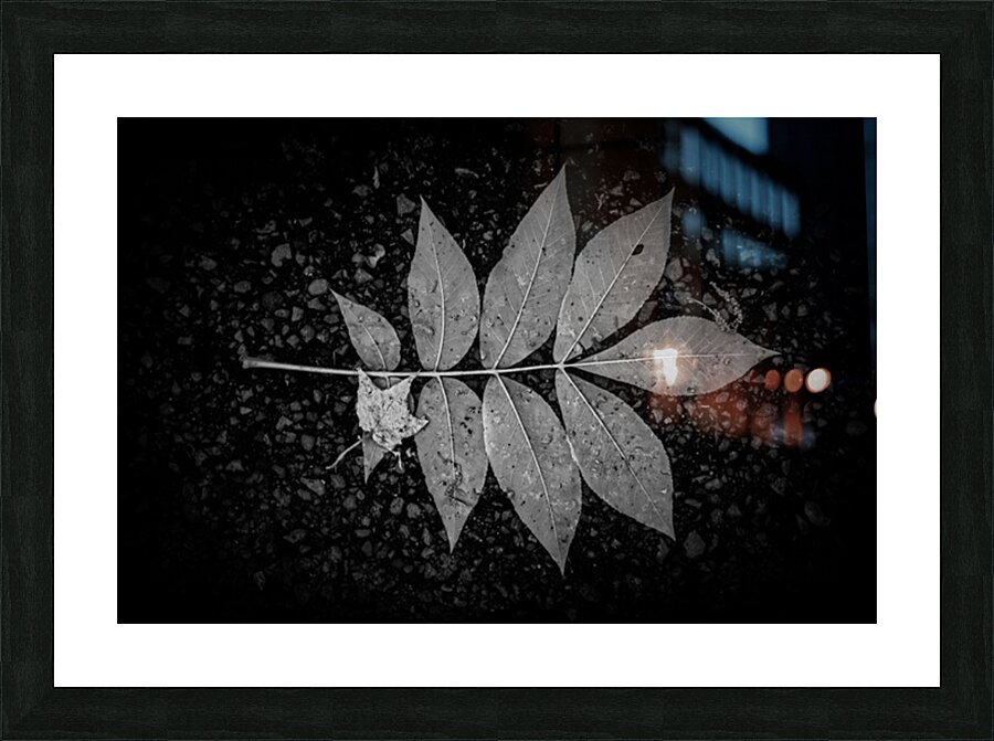  Rainy Day Wonder: Discovering Wishing Leaves at Tims Ford State Park Tennessee Picture Frame print