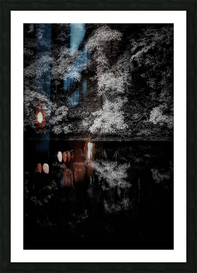 A Forest Reflection: Tims Ford State Park Picture Frame print