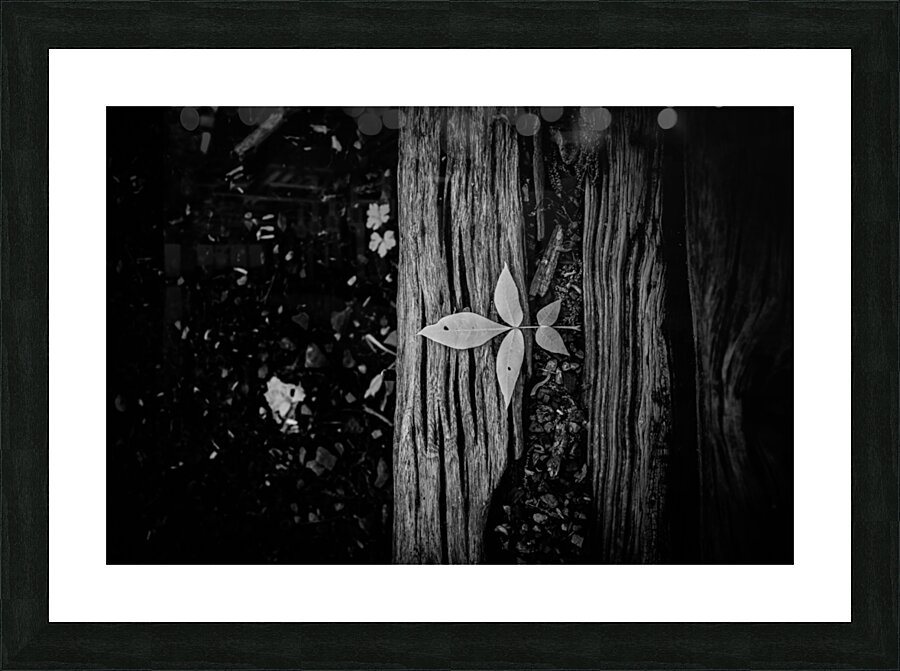 Step Above  Picture Frame print