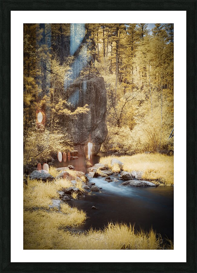 Serenity Unveiled: A Journey Up Grace Coolidge Creek Picture Frame print