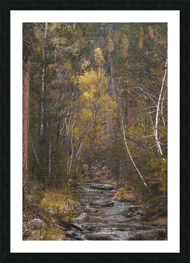 Golden Tranquility: Navigating Grace Coolidge Creek Picture Frame print