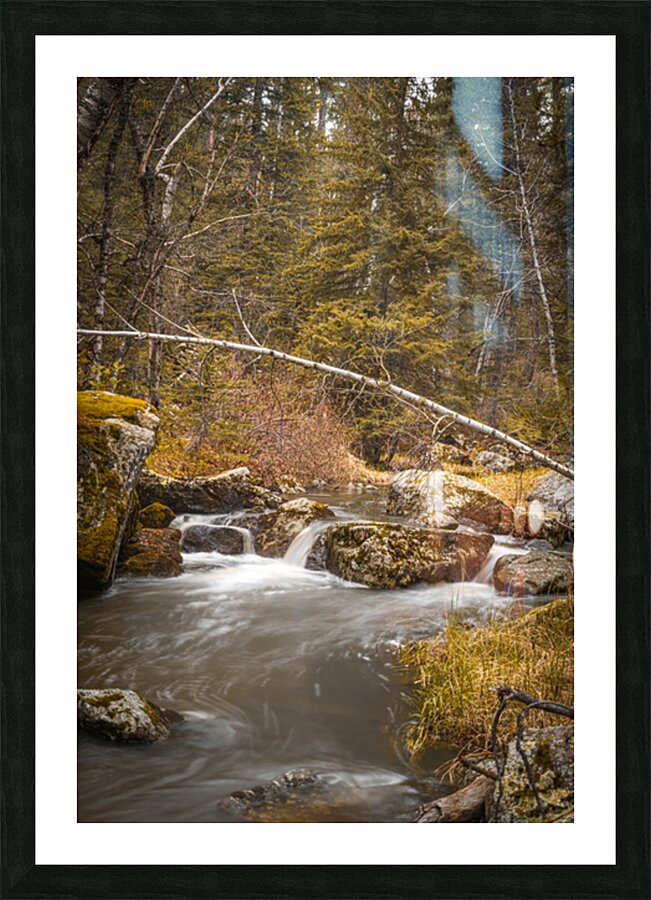 Enchanting Cascades: A Hikers Discovery Along Grace Coolidge Creek Picture Frame print