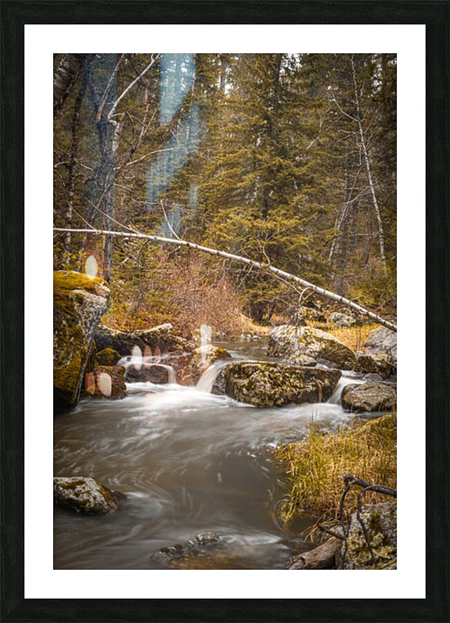 Enchanting Cascades: A Hikers Discovery Along Grace Coolidge Creek Picture Frame print