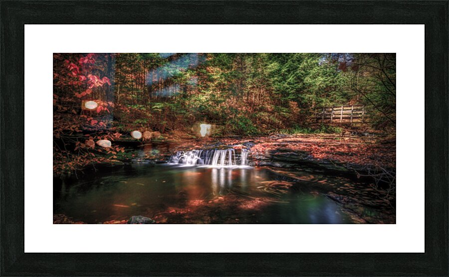 Autumn Symphony: A Serene Day at Ricketts Glen State Park Picture Frame print