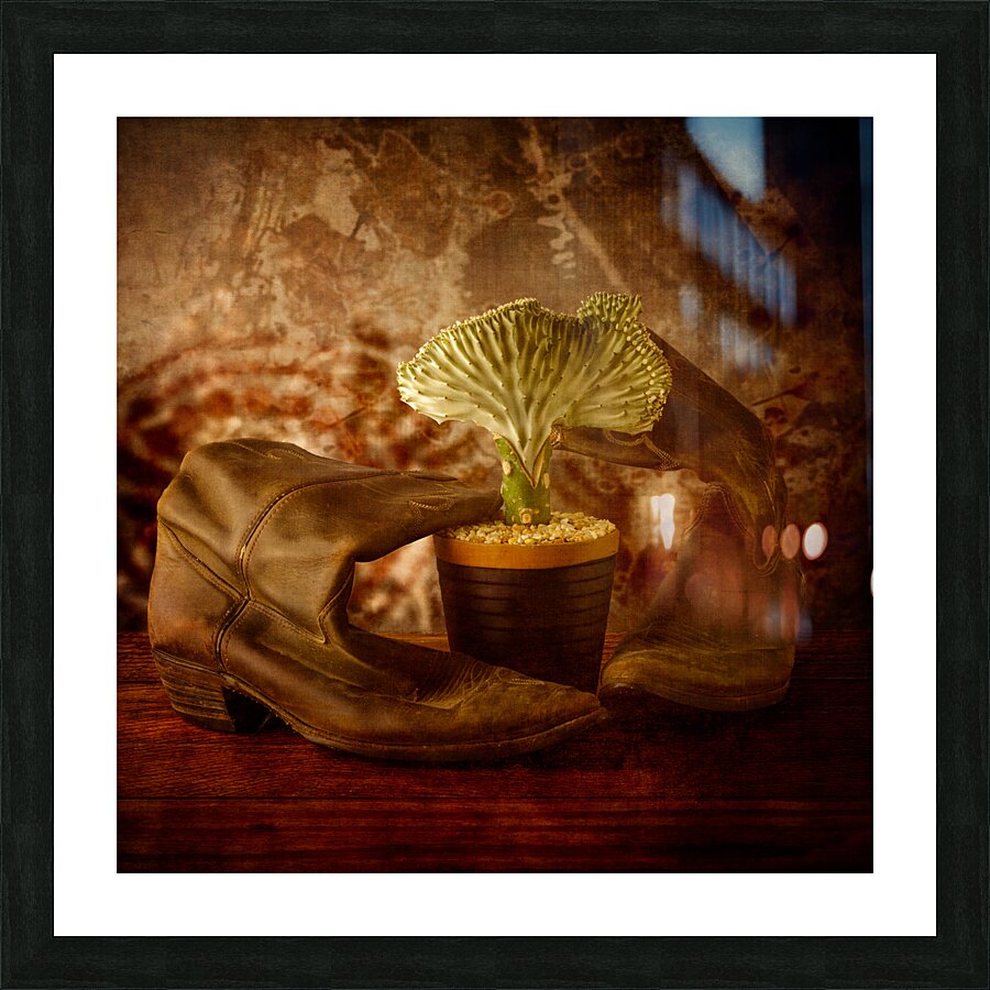 Southwest Harmony: Wavy Cactus and Weathered Cowboy Boots Picture Frame print