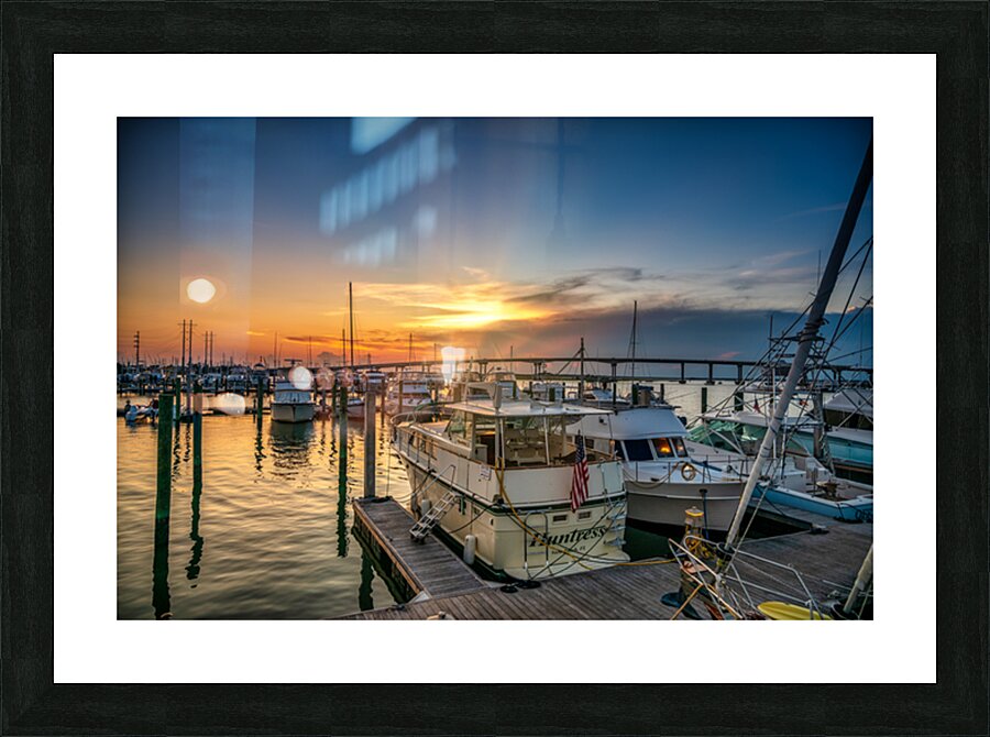 Aquatic Amour: Our Beaufort Love Story Unveiled Picture Frame print