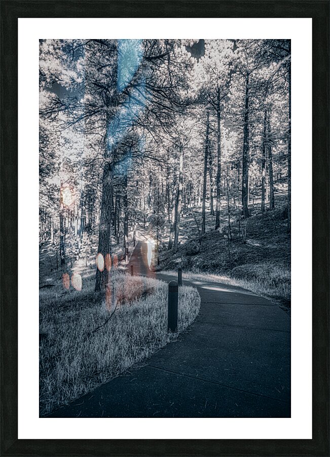 Mount Rushmore: Path Below the Monument in Infrared Magic Picture Frame print