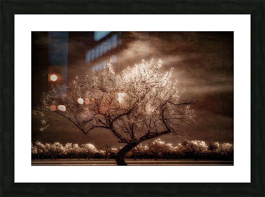  Twilight Tranquility: Capturing Natures Crown Light Splendor Picture Frame print