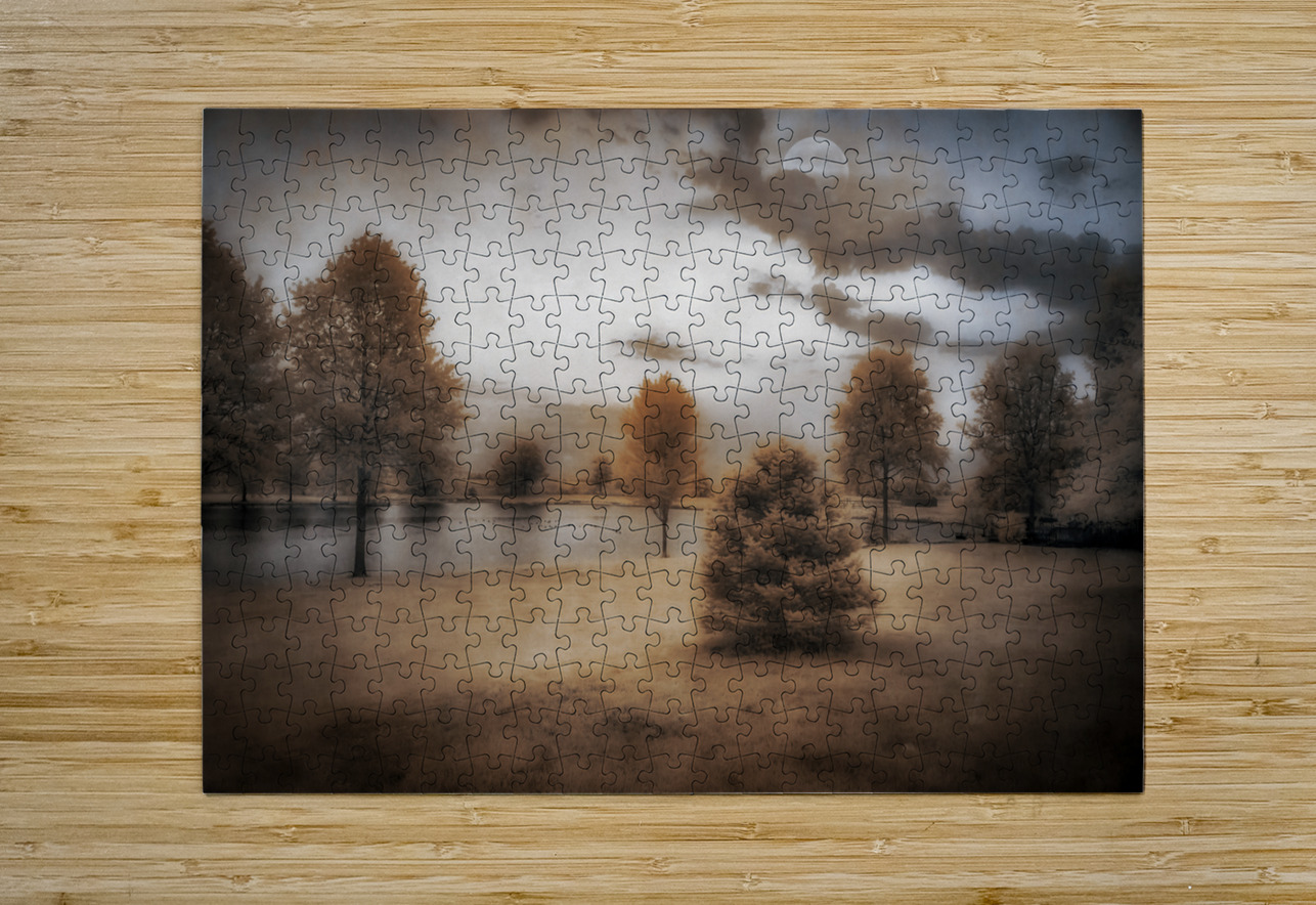Moonlight Dreaming by the Lake  Dream World Images Puzzle printing