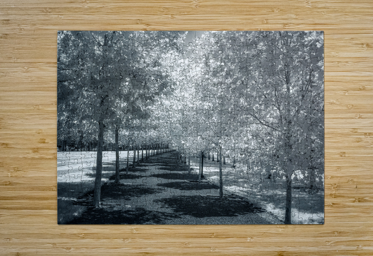 Canopy of Silent Shadows Dream World Images Puzzle printing