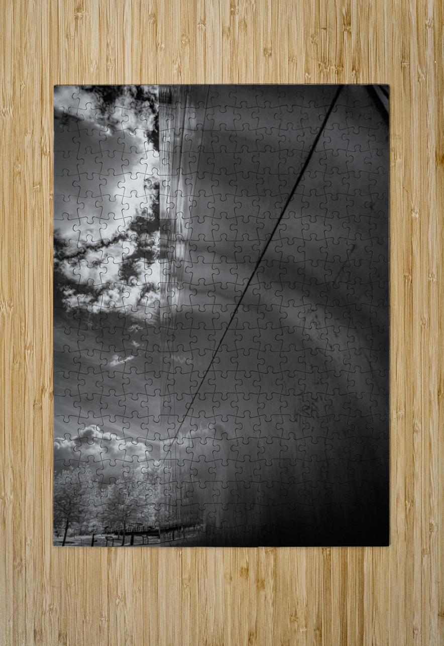 Reflective Harmony in Monochrome Dream World Images Puzzle printing