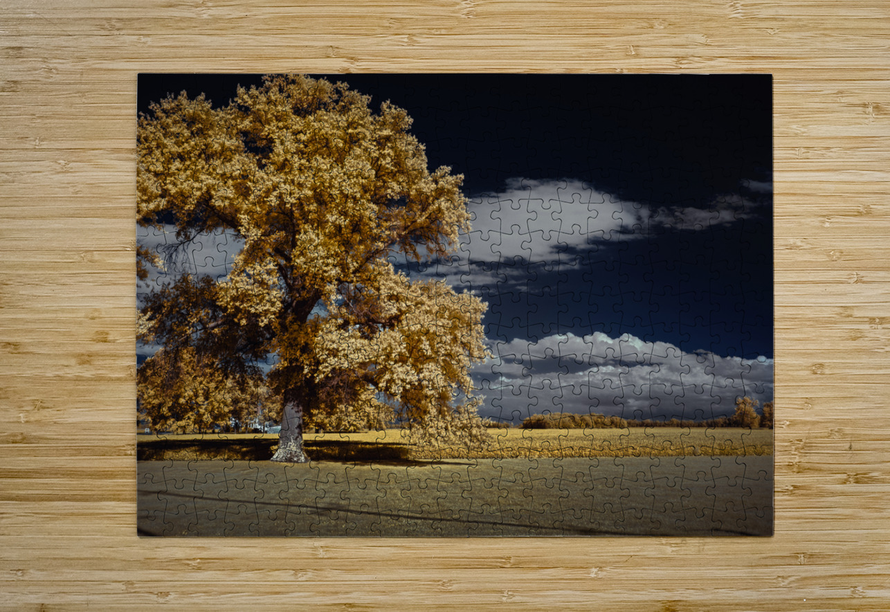 Vibrant Sentinel Dream World Images Puzzle printing