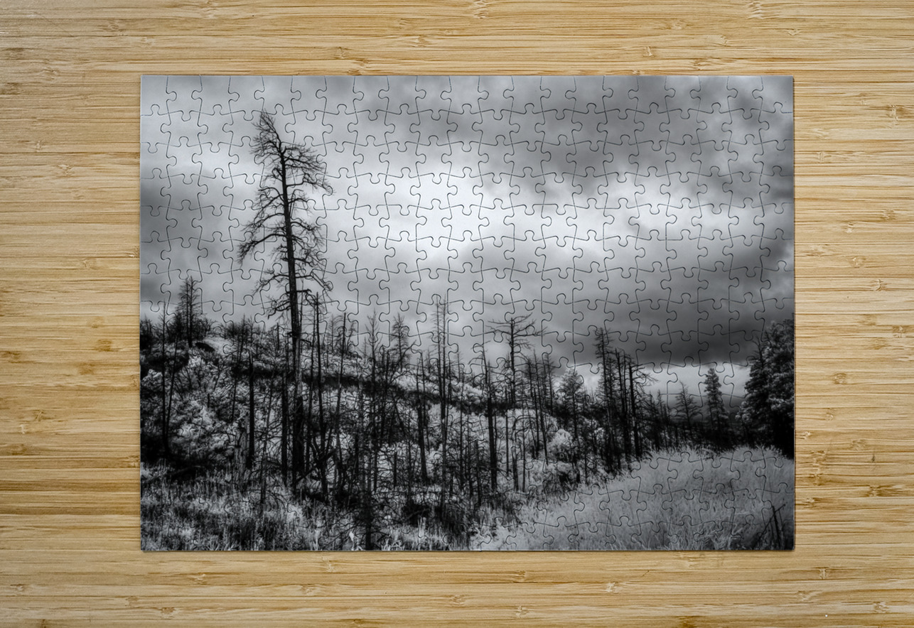 After the Fires Whisper Dream World Images Puzzle printing