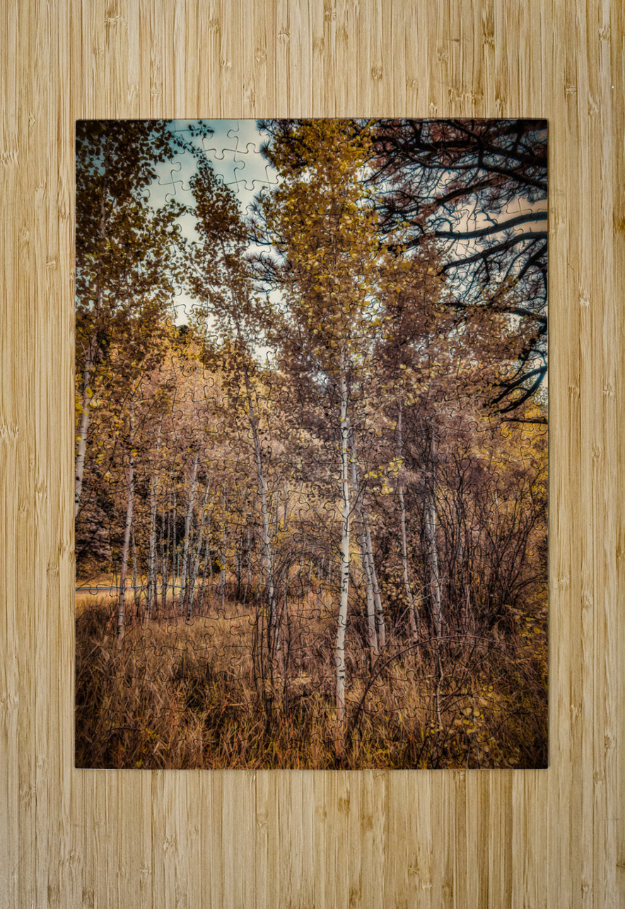 Serenade of Fall Foliage Dream World Images Puzzle printing