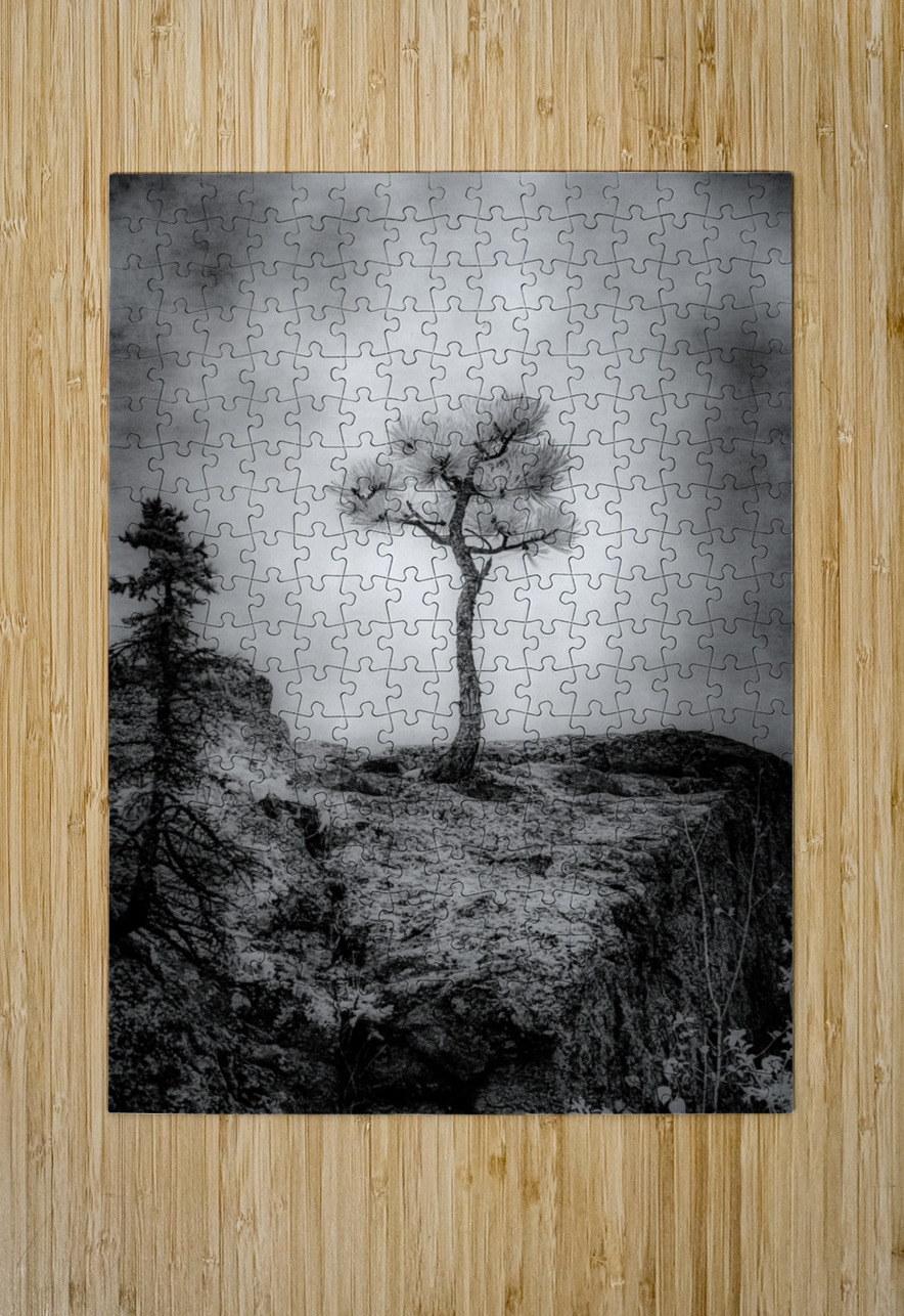 Serene Sylvan Lake: Alone on the Hill Dream World Images Puzzle printing