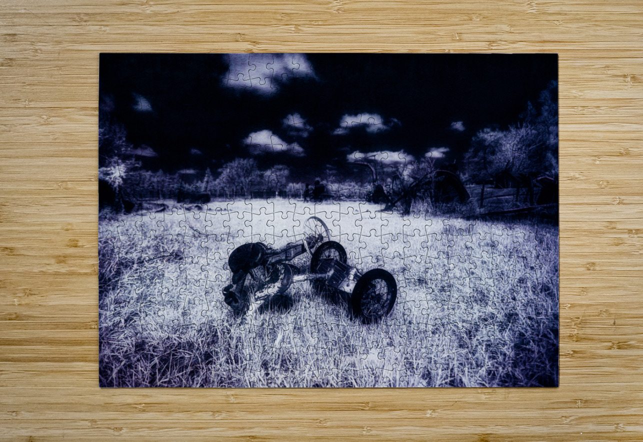 Rustic Relic - Blue Trike Dream World Images Puzzle printing