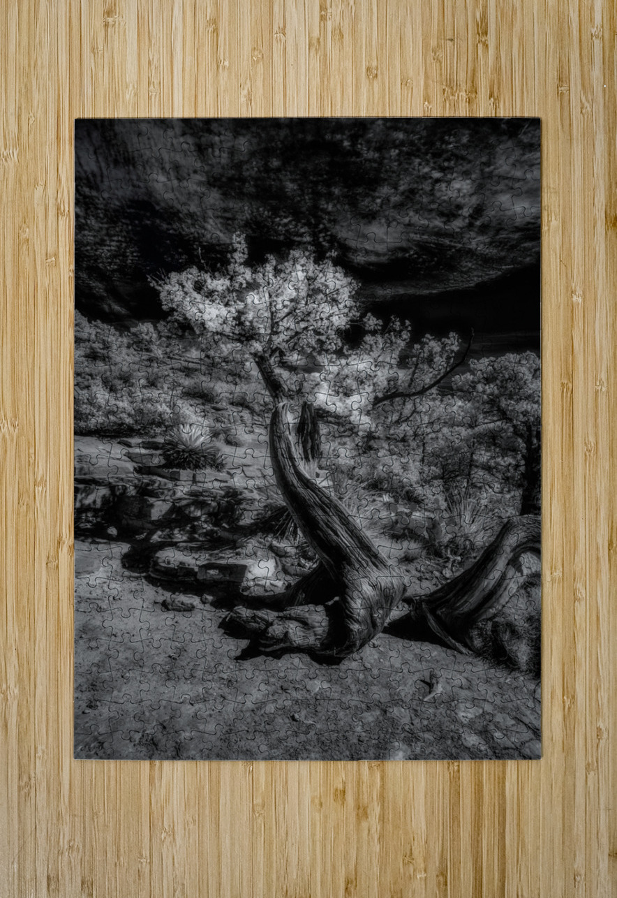 Twisted Elegance Beneath Stark Skies Dream World Images Puzzle printing