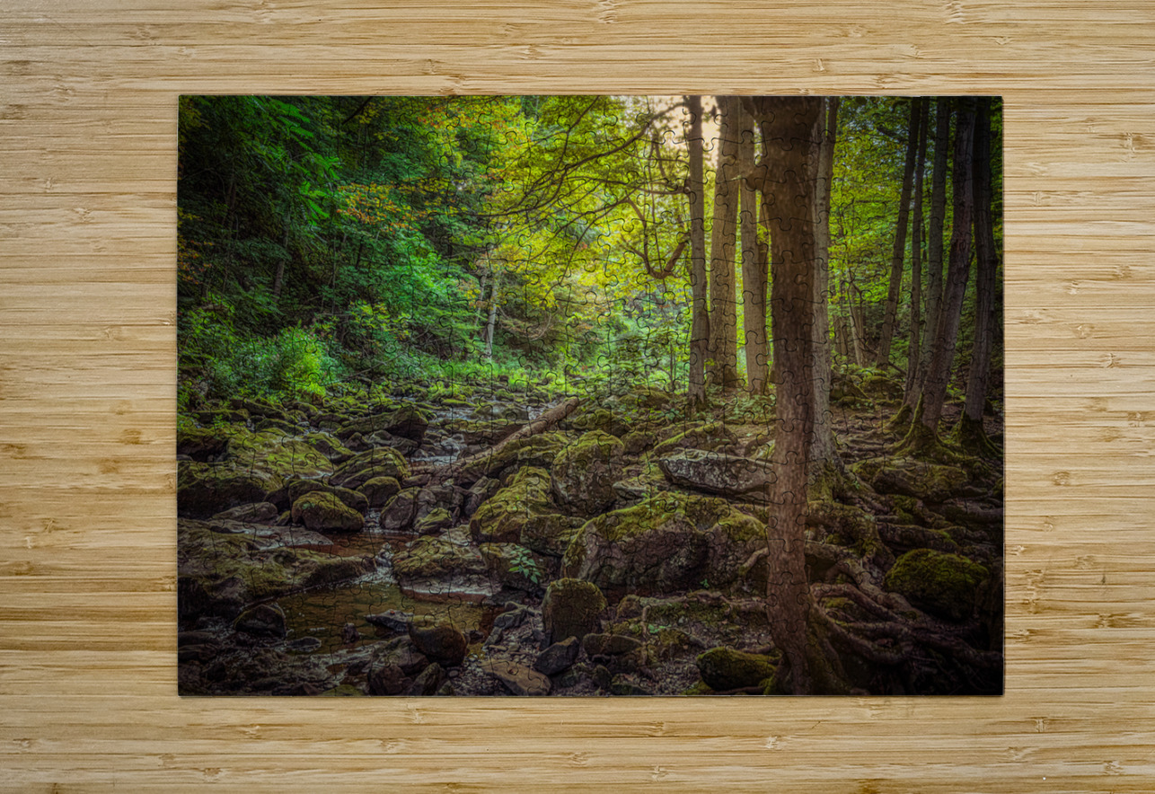 Moss Kissed Canopy Light Dream World Images Puzzle printing