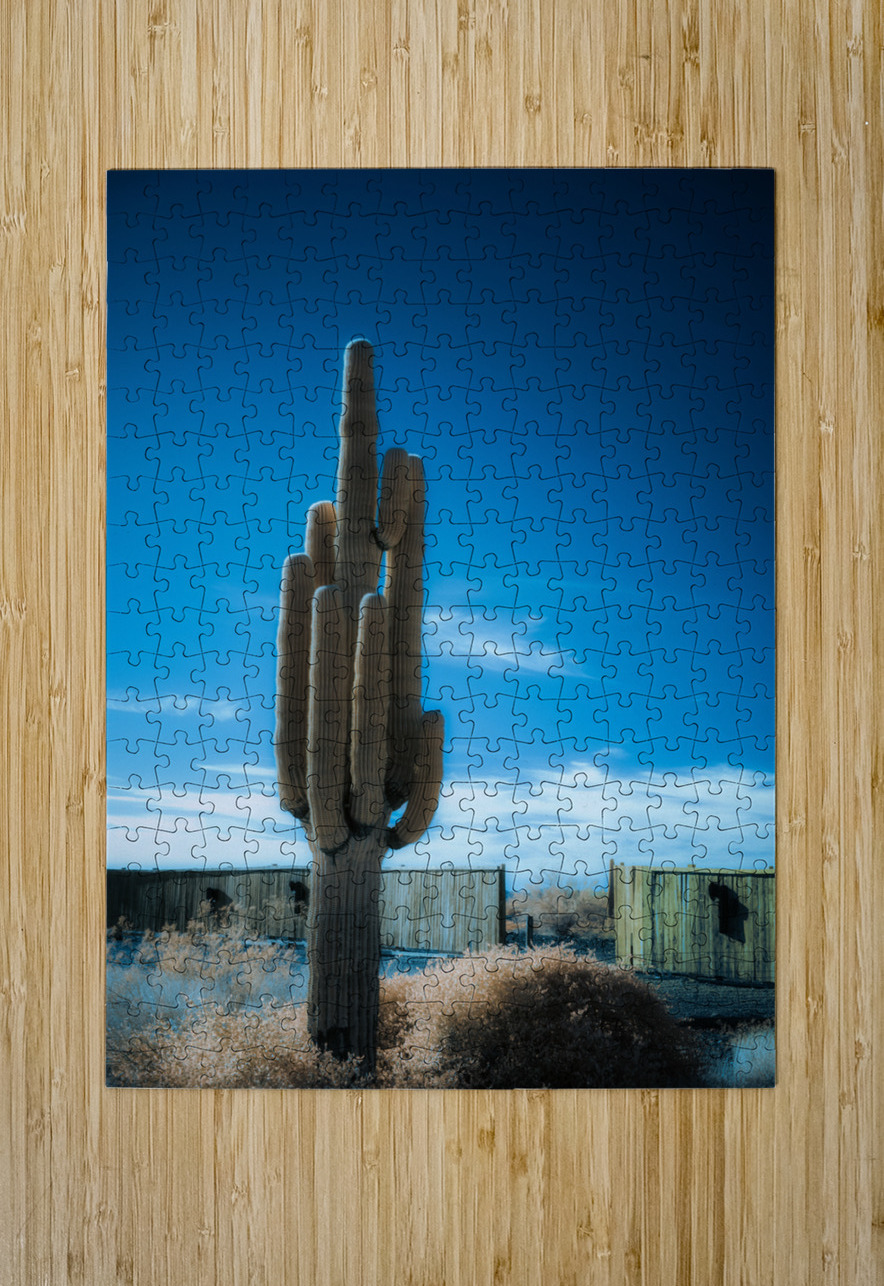 Cactus Symphony beneath Azure Heights Dream World Images Puzzle printing