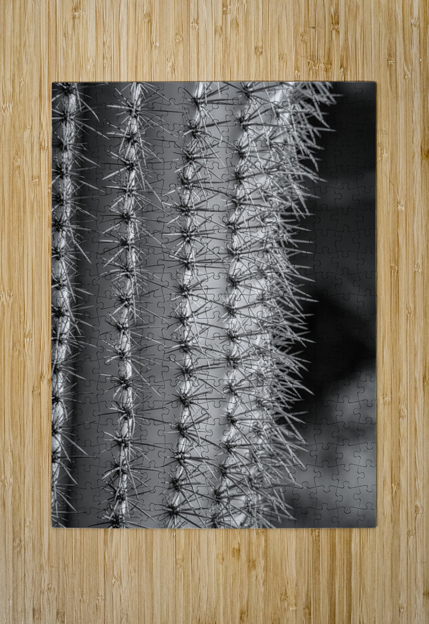 Prickly Pathway Dream World Images Puzzle printing