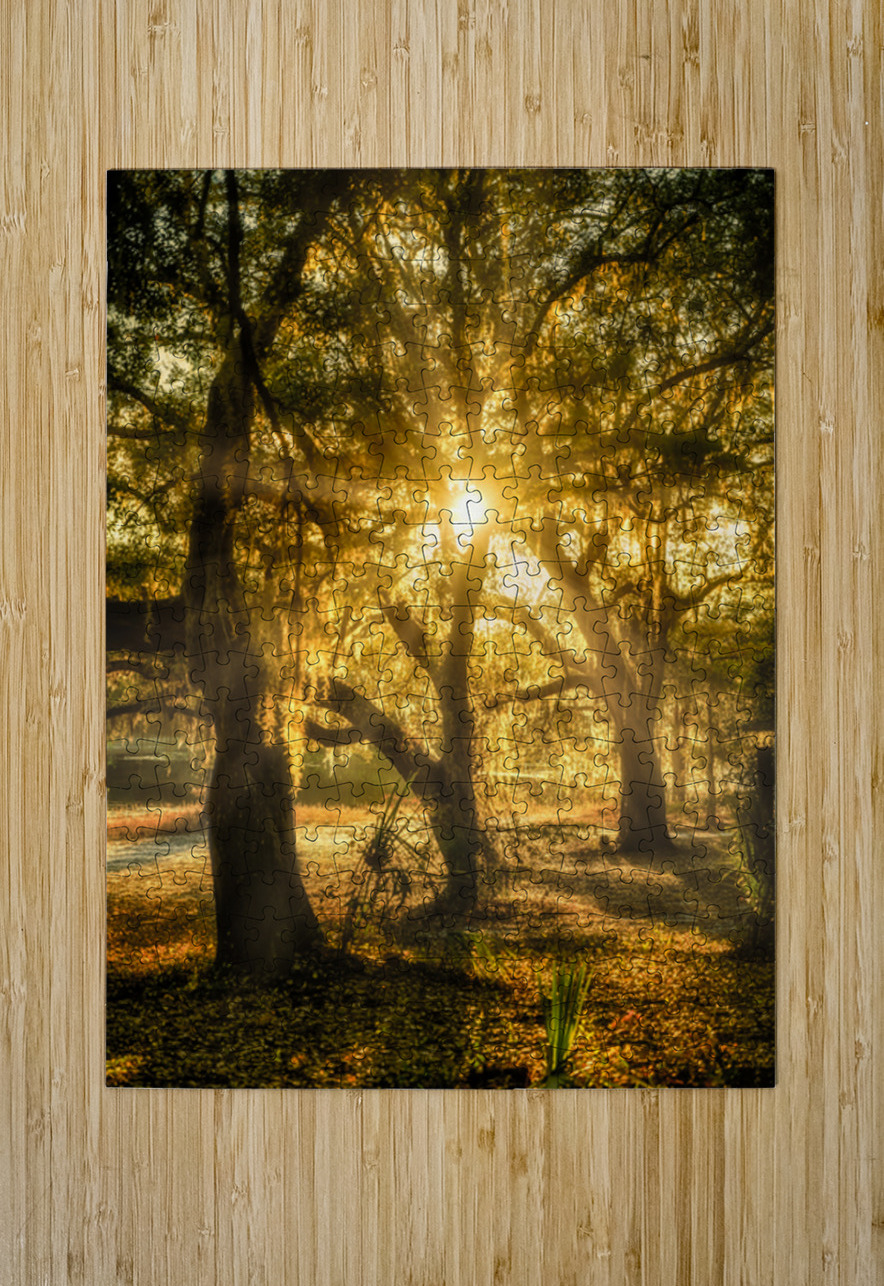 Golden Oak Light Dream World Images Puzzle printing