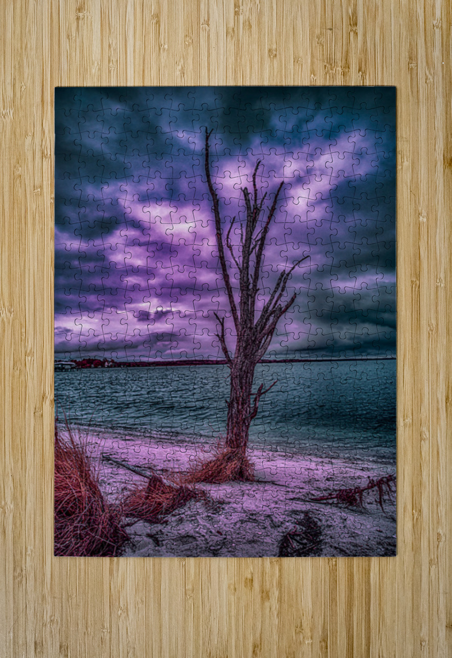 Colorful Dead Beach Tree Dream World Images Puzzle printing