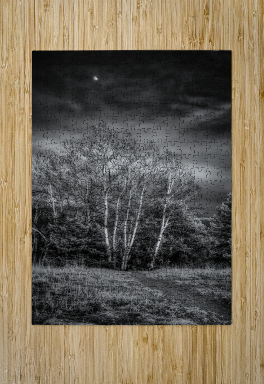 Mueller Aspen Series: Aspen Moon Dream World Images Puzzle printing
