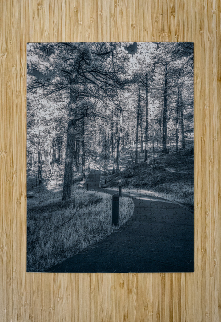 Mount Rushmore: Path Below the Monument in Infrared Magic Dream World Images Puzzle printing