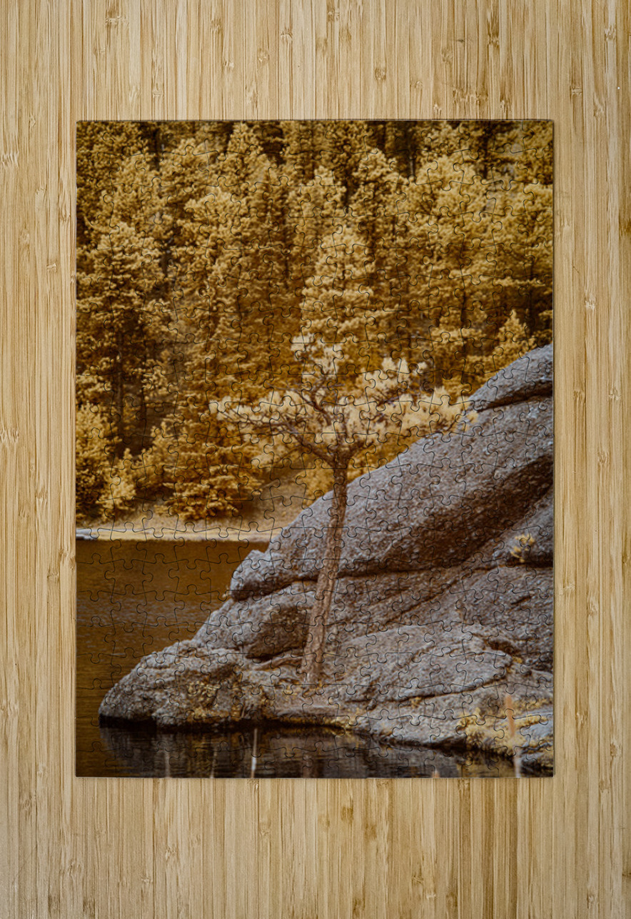 Pine Serenity: An Glimpse of Sylvan Lakes Tranquility Dream World Images Puzzle printing